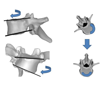 Screenshot%202026-01-31%20140650 Screenshot%202026-01-31%20140650